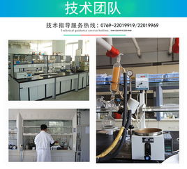 專業服務護航，技術服務賦能企業數字化轉型