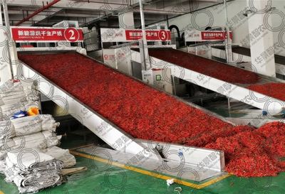 四川華景智農(nóng) 定制專屬于您的農(nóng)產(chǎn)品烘干設備，賦能食品集中加工新紀元