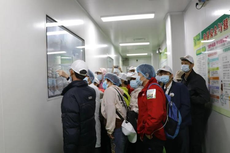 主要將大批量的食品加工烹飪后通過專用的運輸工具輸送到學校,工廠